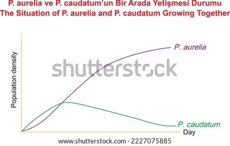 The Situation of P. aurelia and P. caudatum Growing Together