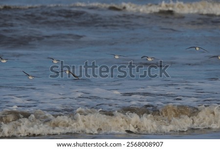 Similar – Image, Stock Photo Flight over a small winding river