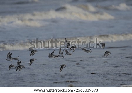 Similar – Image, Stock Photo Flight over a small winding river