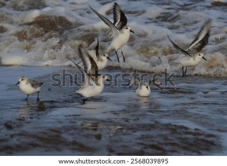 Similar – Image, Stock Photo Flight over a small winding river