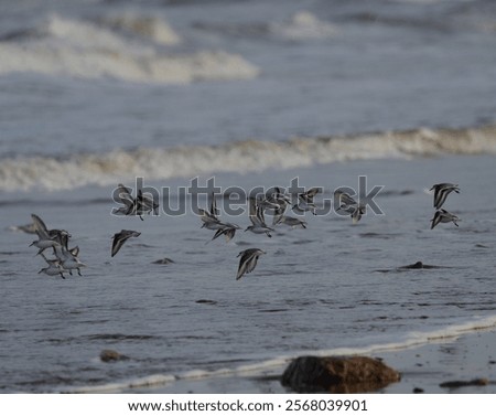 Similar – Image, Stock Photo Flight over a small winding river