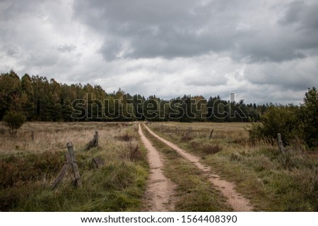 Podlasie region landscapes in October Zdjęcia stock © 