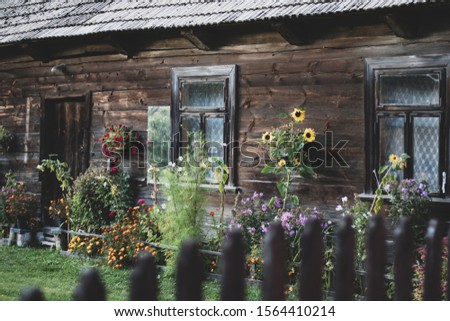 Calm and quiet Siemianowka village  Zdjęcia stock © 