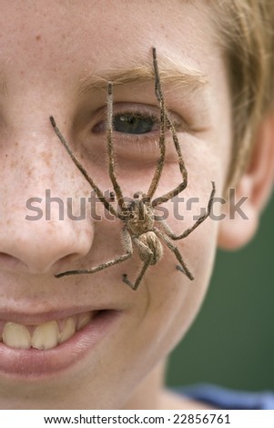 Rain Spider sitting on the face of a European boy with red hair