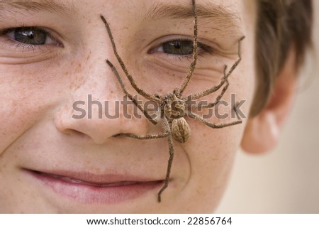 Rain Spider sitting on the face of a European boy with freckles