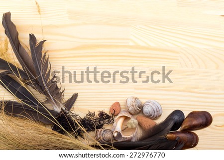 on a wooden surface feathers, stones, shells, grass, wild flowers, sea, fishing net