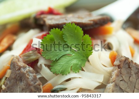 Hot Asian inspired noodle soup with spicy beef and vegetables