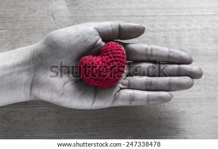 Red Heart Shaped Silk on Hand
