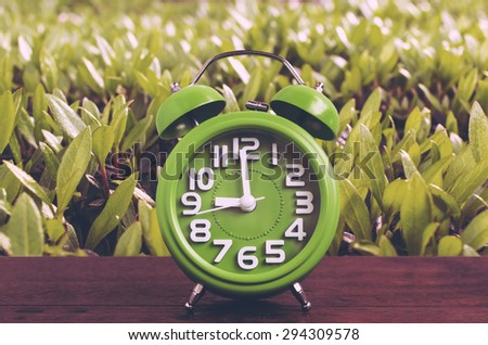 Clock on Wooden Floor with Plant(top leafs) Background , Vintage Style