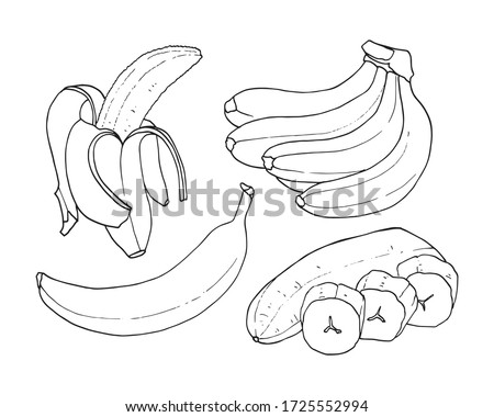 Vector set of outline of bananas. Ripe banana, one banana, peeled banana, bunch of bananas.