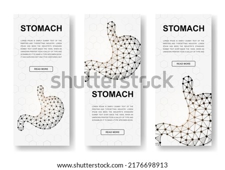 Set of three Stomach polygonal vertical banners. 3d Organ anatomy low poly symbols with connected dots. Vertical illustration for homepage design.