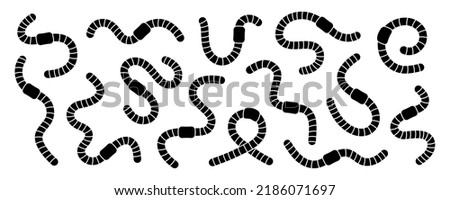 Curled earthworms silhouette set. Terrestrial annelids worms. Invertebrate crawling worms illustration. Collection of black curled earthworms
