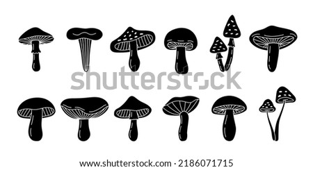 Mushroom sketch set. Poisonous and edible mushrooms hand drawn banner. Different black mushroom symbols. Chanterelle, cep, amanita, truffle, porcini.