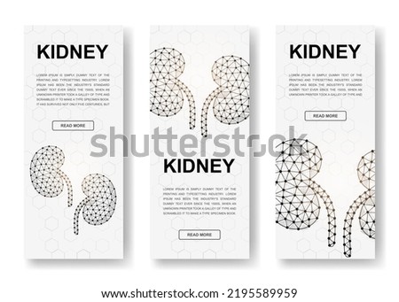 Set of three Kidneys polygonal vertical banners. 3d Internal organ low poly symbols with connected dots. Vertical illustration for homepage design