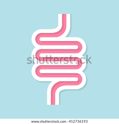 Intestinal vector design