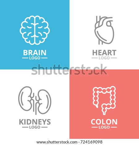 Set of brain and heart, kidney, colon logo or insignia, emblems, labels and badge. Vector line style