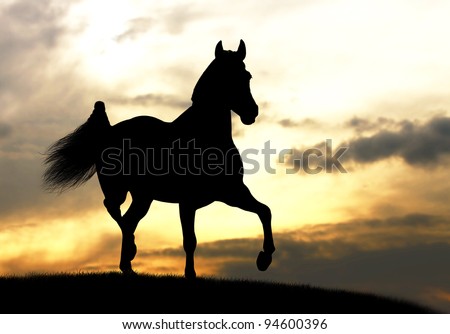 horse silhouette in sunset