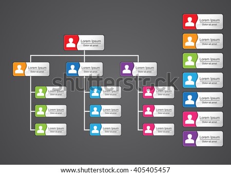 Colorful Rectangle Organization Chart Infographics with People Icon and Abstract Line, Business Structure, Vector Illustration.