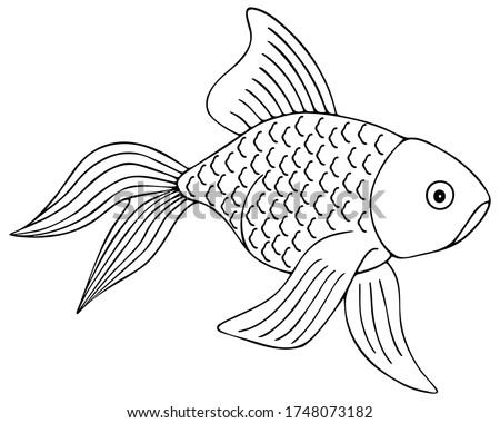 Gold fish. Fan tail. Vector illustration. Outline on a white isolated background. The inhabitant of the pond and aquarium. Hand drawing style. Sketch. Pet Coloring book for children and adults. 