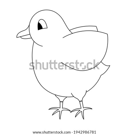 Chick. A cute chick flaps its wings. Sketch. Vector illustration. Coloring book for children. The baby hen is ready to fly. Outline on white isolated background. Doodle style. Festive print. 