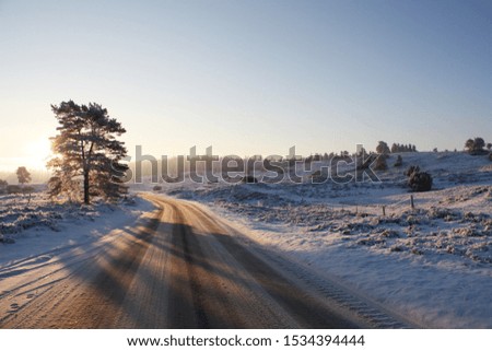 Similar – Foto Bild Verschneite Straße an einem sonnigen Tag im Winter