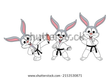 cute rabbit animal cartoon karate