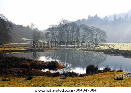 Trees and countryside in the Lake District, Cumbria, UK, reflected in one of the famous lakes synonymous with the Lake District