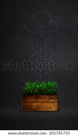 Grass in a box  background