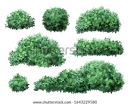 Realistic garden shrub. Nature green seasonal bush, boxwood, floral branches and leaves, tree crown bush foliage. Garden green fence vector illustration set. 3d public park and garden elements