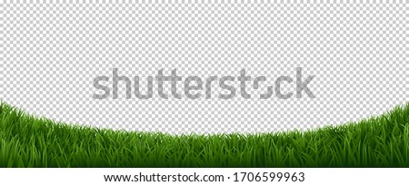 Realistic grass border. Green herb lawn, garden herb plants frame, fresh lawn border element vector background. Horizontal border lawn grass, meadow field green illustration