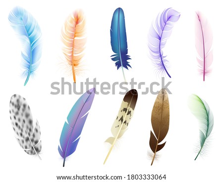 Realistic 3d feathers. Birds colored falling fluffy feathers, floating bird soft plumage feathers isolated vector icons set. Fluffy and plumage, feather falling illustration