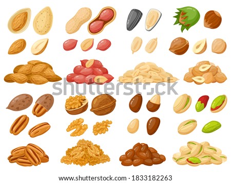 Cartoon nuts. Almond, peanut, cashew, hazelnut nuts, sunflower seed and pistachio, nut food isolated vector illustration icons set. Nuts heaps in shell on white. Organic healthy products for snack