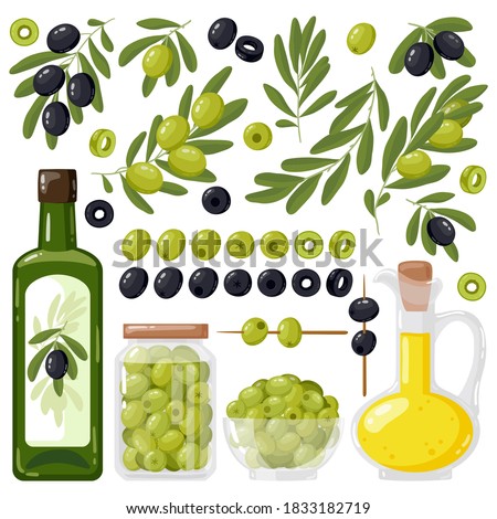 Cartoon olive. Black and green olives, olive tree branches and extra virgin olive oil, healthy organic olive products vector illustration set. Agricultural ripe plant, bowl and jar with food
