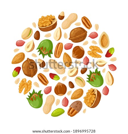Cartoon seeds and nuts. Almond, peanut, cashew, sunflower seeds, hazelnut and pistachio. Nut food vector illustration set. Healthy and organic eating. Natural, tasty snack mix with shells