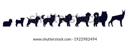 Dogs breed silhouettes. Pedigree puppies as doberman and malamute, Labrador and poodle, shepherd and beagle, pu, terrier isolated vector set. Small and big domestic animals or pets