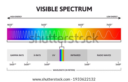 Visible color spectrum. Sunlight wavelength and increasing frequency vector infographic illustration. Visible spectrum color range. Rainbow electromagnetic waves. Educational physics line
