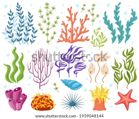 Cartoon ocean plants. Anemones, corals and seaweed, marine kelp, aquarium plants. Underwater reef flora vector illustration icons set