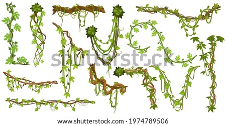 Tropical hanging vines. Jungle liana climbing plants, wild rainforest vines branches with leaves isolated vector illustration set. Liana exotic branches foliage to limbing, branch rainforest greenery