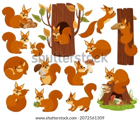 Cartoon squirrel woodland animal character, sleeping, jumping, playing. Forest wild nimble squirrel vector illustration set. Cute woods fauna rodent animal. Cartoon squirrel in woodland collection