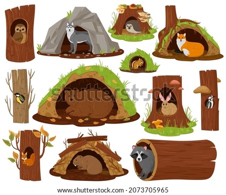 Cartoon forest animals inside hollow, burrow and nest. Woodland fauna in burrows and tree hollows vector illustration set. Owl, bear and hedgehog. Hollow for animal, forest shelter cute house