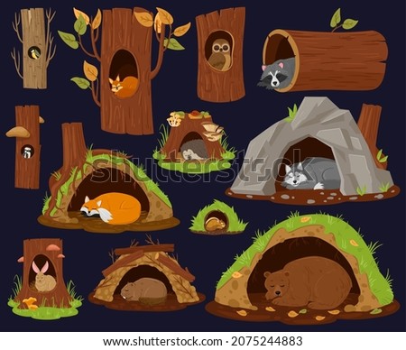 Cartoon woodland animals sleeping inside burrow, hollow, nest. Forest animals resting or hibernate, cute racoon, fox and beaver vector illustration set. Wood animals houses. Forest shelter and hollow