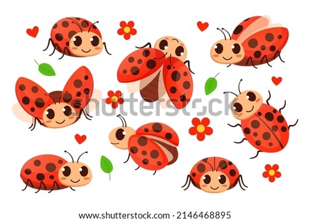 Cartoon ladybug. Cute ladybugs, garden red bugs and lady insect vector set of ladybug insect, summer cartoon beetle illustration