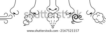 Sniff nose. Sense of smell, human breath and smelling. Inhale air and aromas vector Illustration set of smell sniff and sense nose