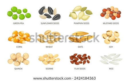 Cartoon plant seeds with labels. Food packaging icons for green pea, sunflower, pumpkin, mustard, corn, wheat, oats, soy, quinoa, sesame, flax and rice seeds vector illustrations set. Healthy snack