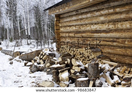 Russian house and woods