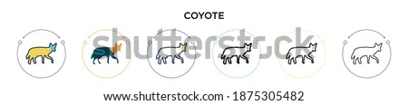 Coyote icon in filled, thin line, outline and stroke style. Vector illustration of two colored and black coyote vector icons designs can be used for mobile, ui, web