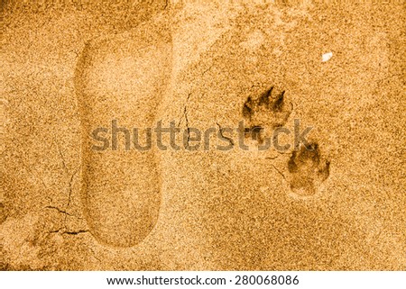 A man\'s footprints and a dog\'s footprints in the sand