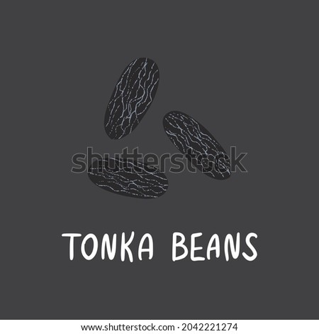 Tonka beans with lettering. Flat hand drawn spice for desserts isolated on dark background.