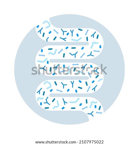 Gut microbiome concept. Human intestine microbiota with healthy probiotic bacteria. Flat abstract medicine illustration of microbiology checkup.