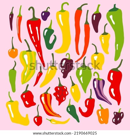 Hot peppers colorful set. Spicy flat hand drawn peppers - chili, habanero, cayenne. Cute cooking print with mexican jalapeno, padron, serrano paprika.